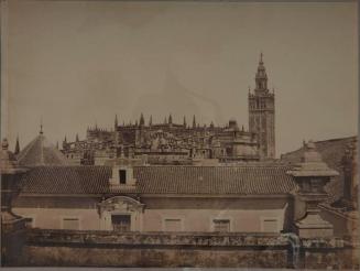 Sevilla. La catedral