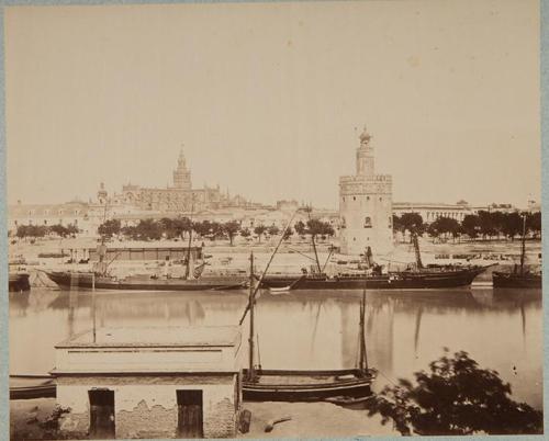 Sevilla. Torre del oro y catedral