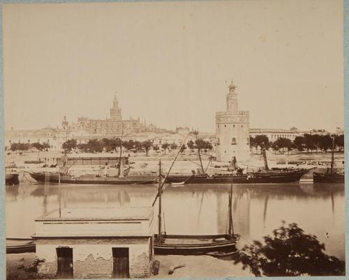 Sevilla. Torre del oro y catedral