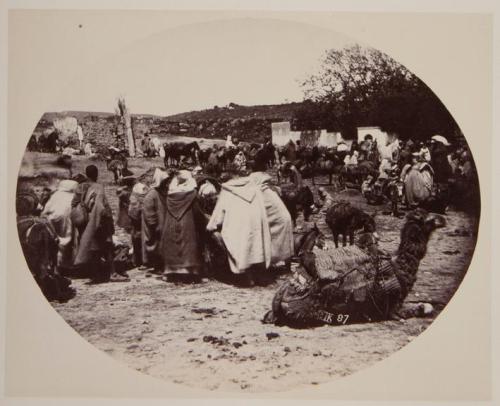 Grupo de personas con camellos y animales de carga