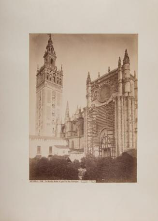 Sevilla. La Giralda desde el patio de los Naranjos