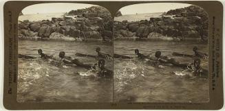 Nubian Boys Shooting the Rapids of the Nile on Logs, Egypt