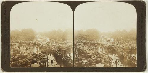 Part of waiting line at Capitol, 4 P. M., McKinley Funeral, Washington