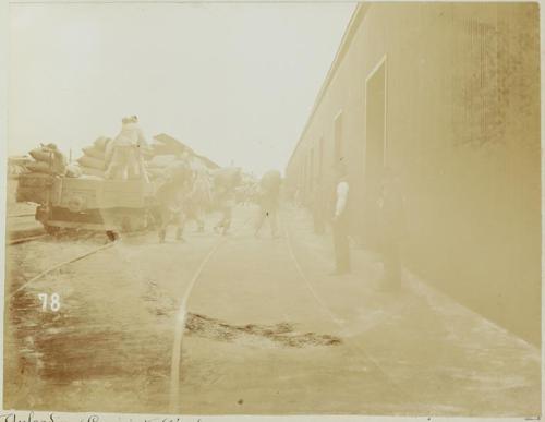 Views in Iquique. Anloading cars into Warehouse