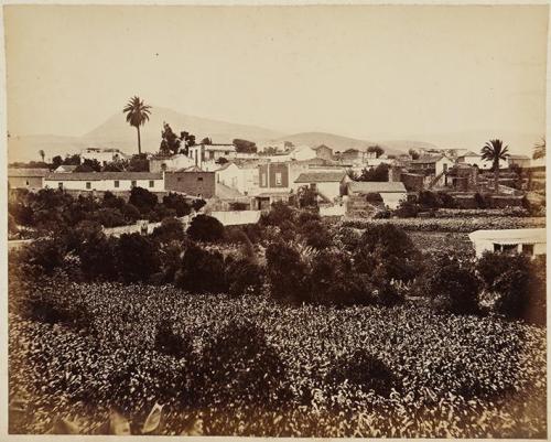 (Vista general de un pueblo de Gran Canaria)