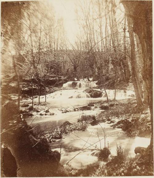 (Monasterio de Piedra) El parque