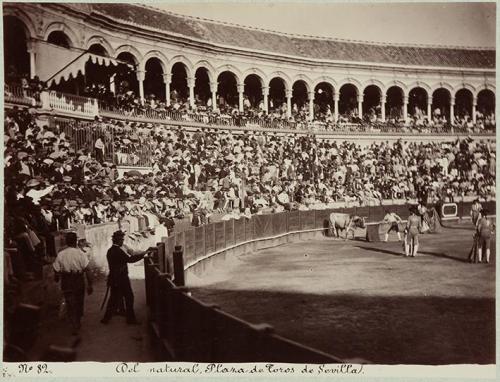 Del natural. Plaza de Toros de Sevilla