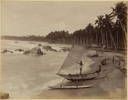 Singhalese fishing boat. Ceylan