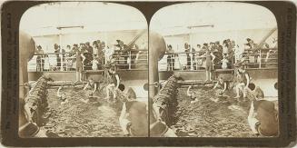 Sport on Shipboat, the morning dip in the swimming tank S. S. Siberia