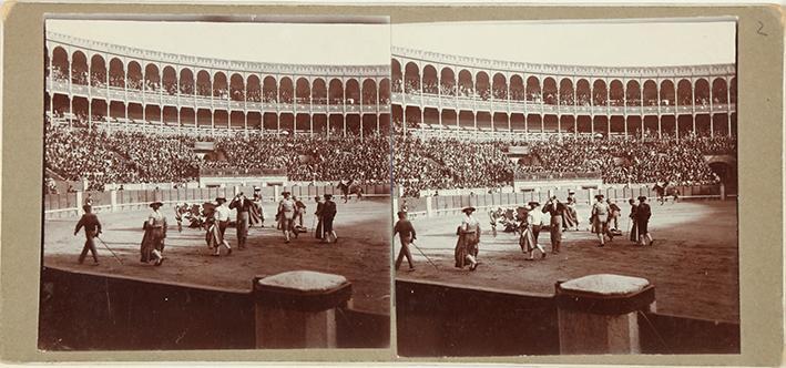 (Plaza de Toros de Madrid)