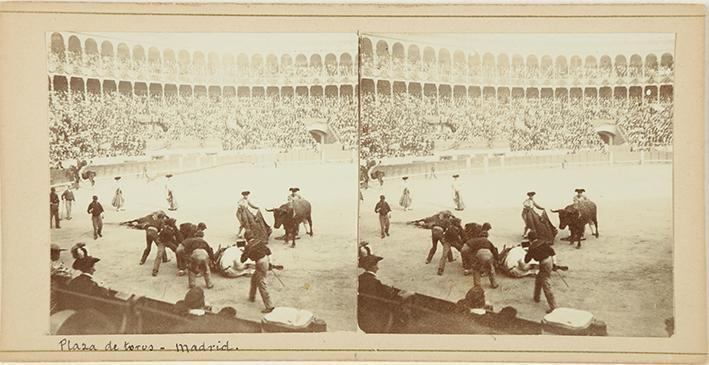 Plaza de Toros. Madrid