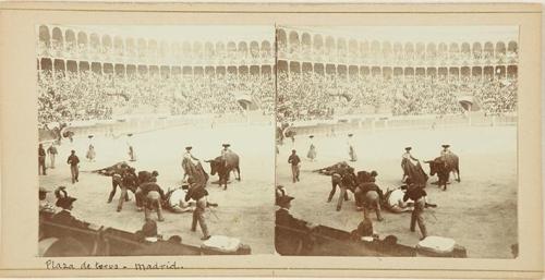 Plaza de Toros. Madrid