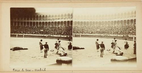 Plaza de Toros. Madrid