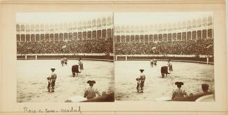 Plaza de Toros. Madrid