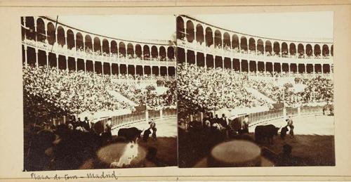 Plaza de Toros. Madrid