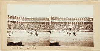 Plaza de Toros. Madrid