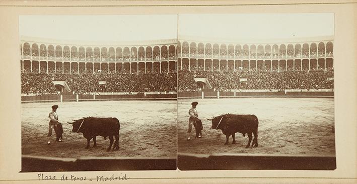 Plaza de Toros. Madrid