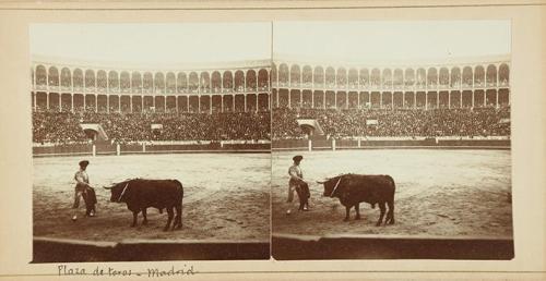 Plaza de Toros. Madrid