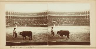 Plaza de Toros. Madrid