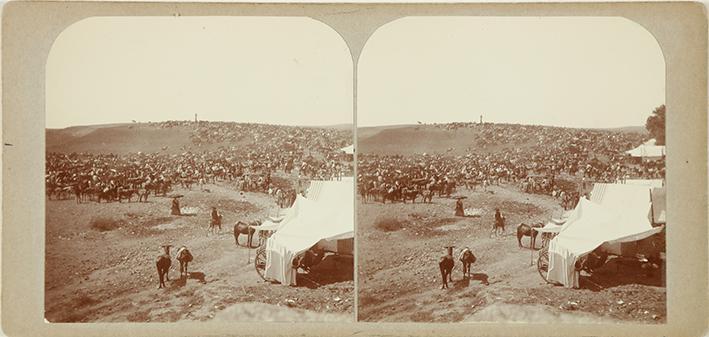 (Feria de Mérida. Rodeo de Caballerías)