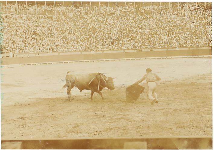 (Corrida de toros)