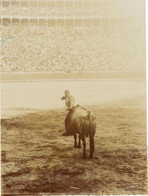 (Corrida de toros)