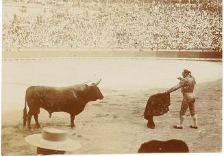 (Corrida de toros)