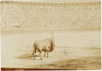 (Corrida de toros)