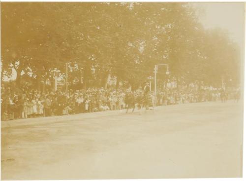 (Desfile de carrozas)