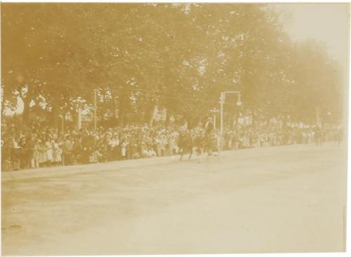 (Desfile de carrozas)