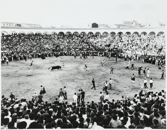 En la plaza