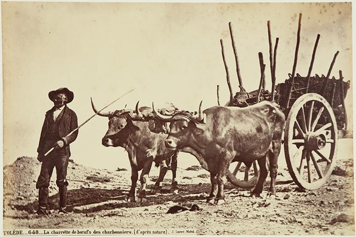 Tolède. La charrette de boeufs des charbonniers. (d’après nature)