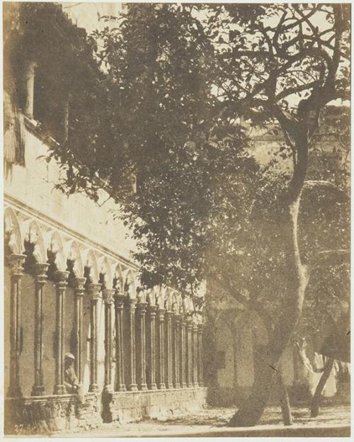 (Claustro del convento de San Francisco. Palma de Mallorca)