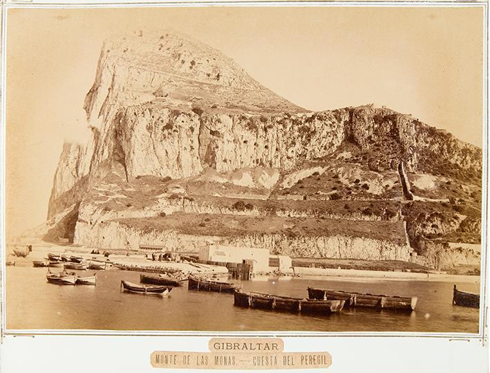 Gibraltar. Monte de las Monas - Cuesta del Perejil