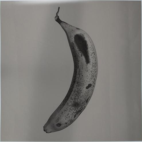 Platano