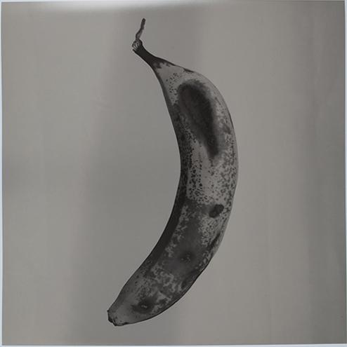 Platano