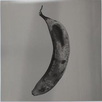 Platano