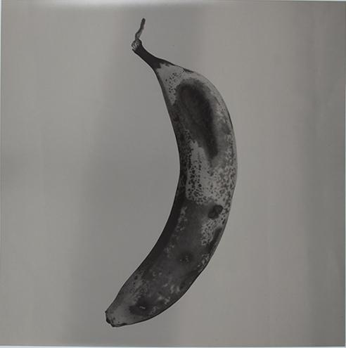 Platano