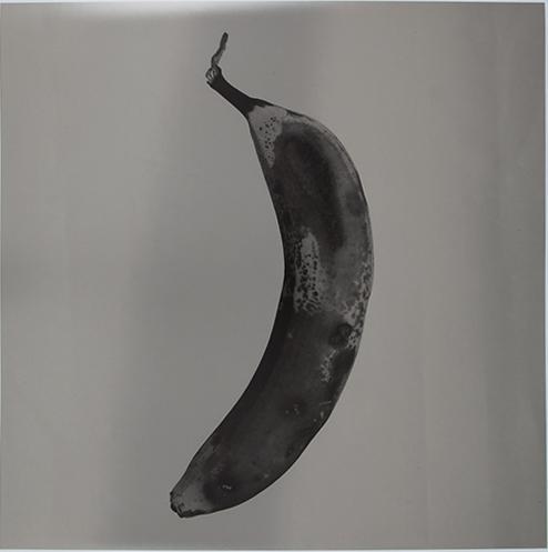 Platano