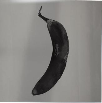 Platano