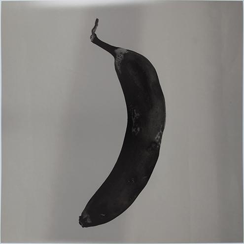 Platano