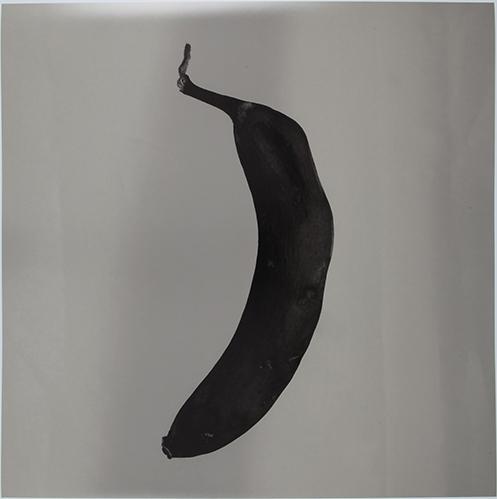 Platano