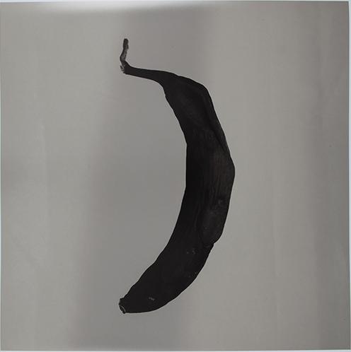 Platano