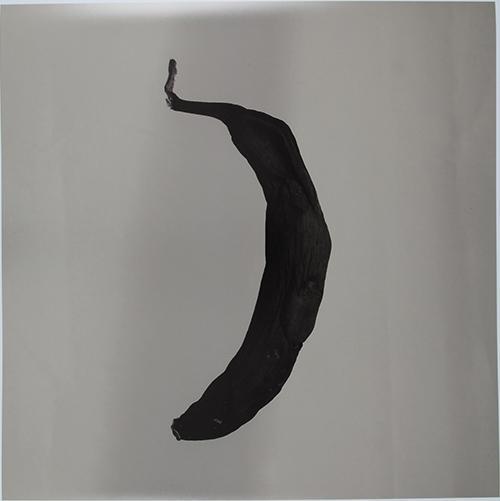 Platano