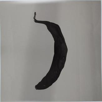 Platano