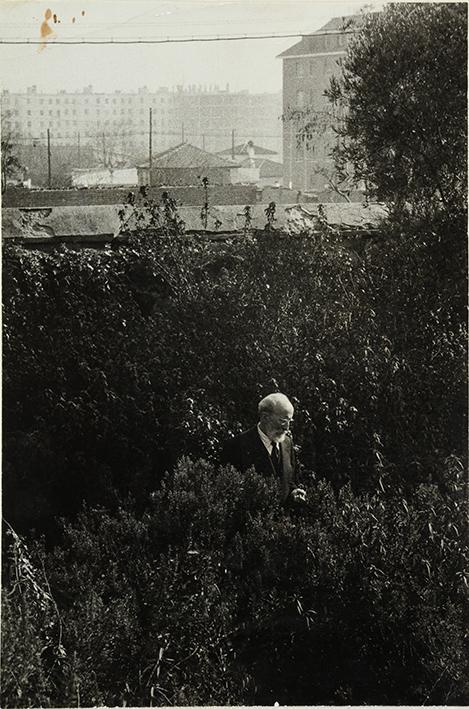 (Retrato de hombre en un jardín urbano)