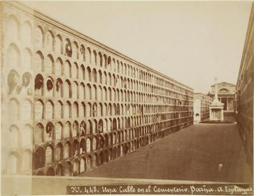 Una calle en el cementerio. Barna