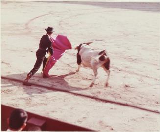 (Toreando vaquillas)