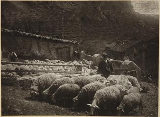 Corral. Viguera (Rebaño en La Rioja)