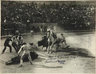 La plaza de toros de Toledo
